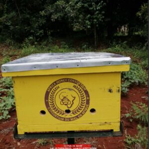 Standard Langstroth Hives